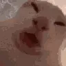 LIZUN