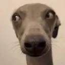 sideeye sideeye