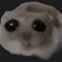 roundhampter