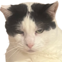 Trout Discord emoji