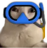 scubinald