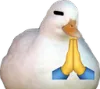 prayduck