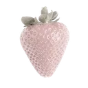 irl_strawberry