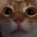 Windowstare Windowstare