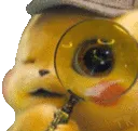 Pikachuhumm