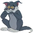 tomsad