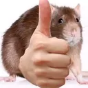 5a1de85b434b8d514a0e680781c92d09