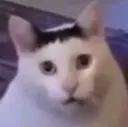 huhcat