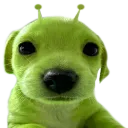 glerp