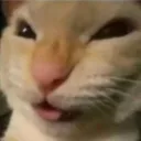 nyehehe