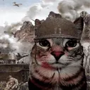 ptsd