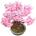 CherryBonsai