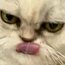 moumoulick