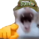 rhcatlaughing