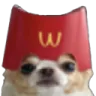 McDog