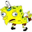 miscsponge