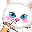 prgameChonk