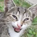 KumiSmile