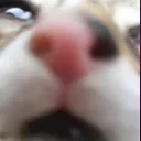 KumiPeek