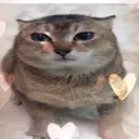 Chew