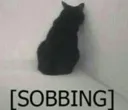b_InsertSobbing