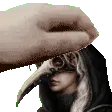 petpet_kazura petpet_kazura