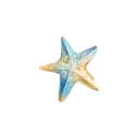starfish starfish