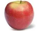 appel