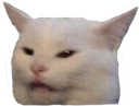 dcl_angrycat Discord emoji