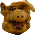 alf