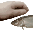 049c5b3e9447426186af03d82e3345b8