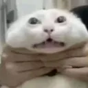 ohgod ohgod
