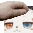 AbbyPAT