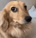 erm