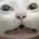 OHNO