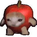 p_applecat Discord emoji