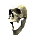 skuller