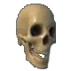 Skull Skull