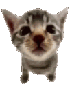 explode Discord emoji