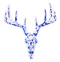 hunt