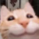 Bappy