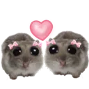 SADHAMSTER_ohmies