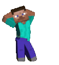 mc_steve_go