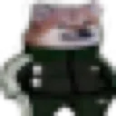 tracksuitcheems tracksuitcheems