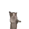 catjump