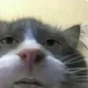 bruh