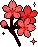 sakura_red