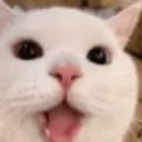 hapi