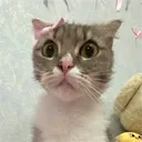 scaredpatootie
