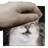 patSpace
